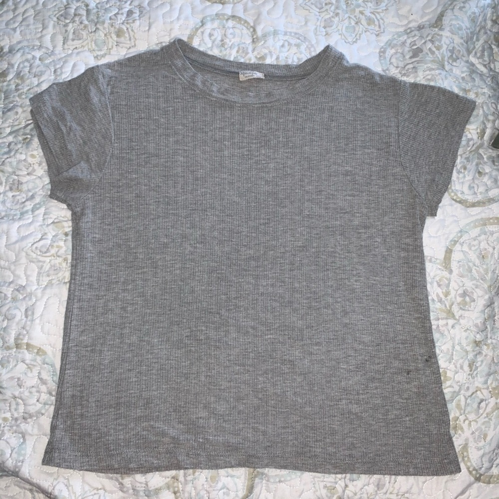 Gray Brandy Melville Top